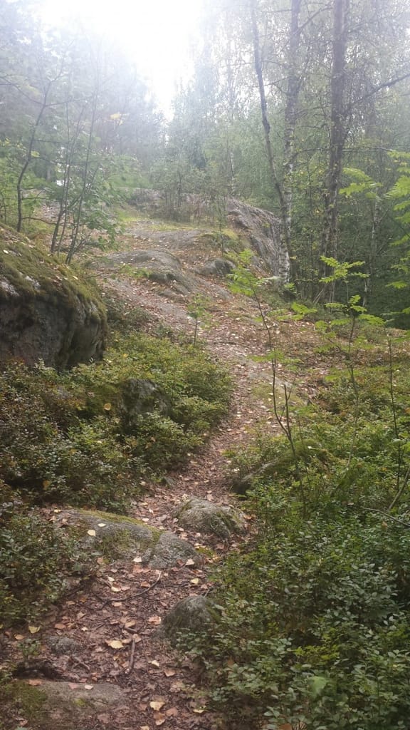 Kun kävelet, poikkea suoralta tieltä pienemmille poluille.