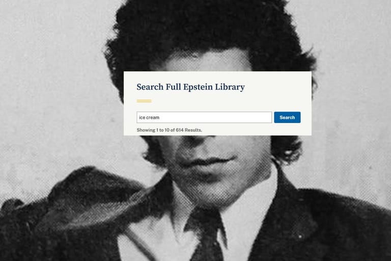 Mustavalkoisen henkilökuvan päälle on liimattu poptaiteellisesti kuvankaappaus. Kuvankaappauksessa lukee "Search full Epstein Librarry" sekä hakusanana "ice cream".