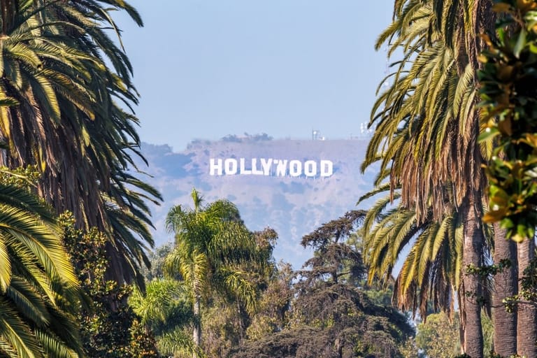 Hollywood-kyltti palmujen seassa.