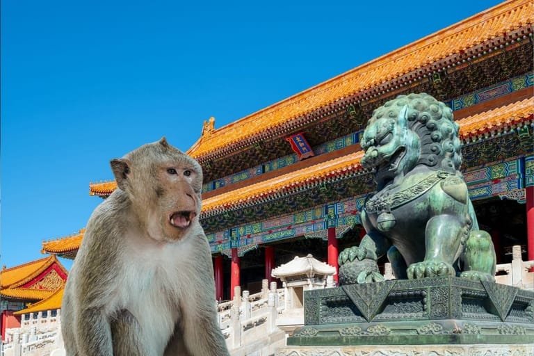 Apina ja pronssinen leijonapatsas Kielletyssä kaupungissa Pekingissä