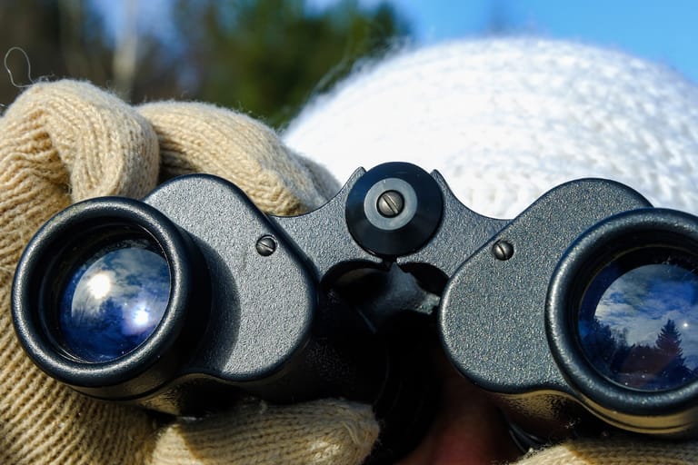 Henkilö pitää kiikareita käsissään ulkona.