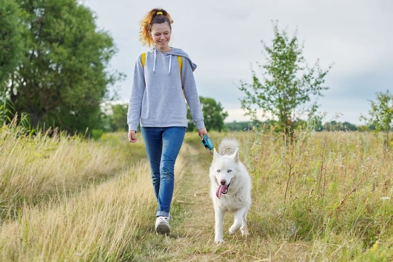 Hymyilevä nuori nainen kävelee valkoisen huskyn kanssa niityllä — liikunta parantaa luovuutta tutkitusti