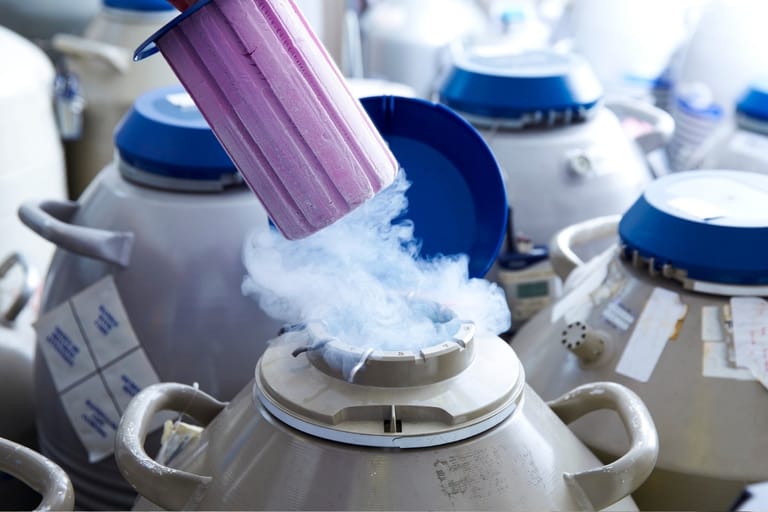 Laboratorion kryosäiliö ja nestetyppihöyryä munasolujen pakastuksessa.