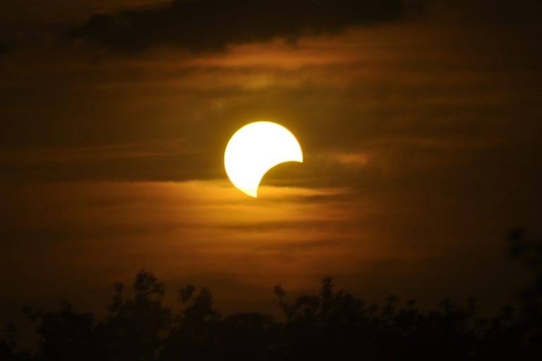 Matalalla horisontissa oleva osittainen auringonpimennys tummien puiden siluetin yläpuolella.
