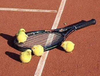 Tenniksessäkin on monta ihmeellistä asiaa...