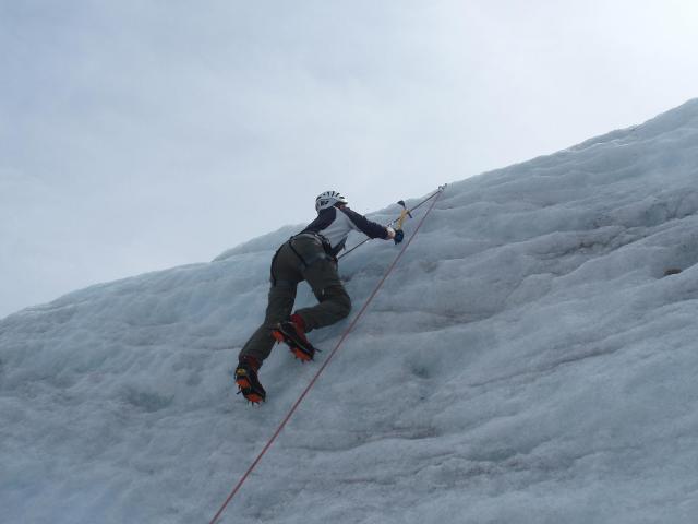 Pakollinen pepakuva, ding ding...