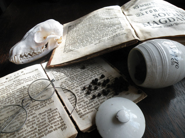 Götan Maailma myy omituista antiikkia.