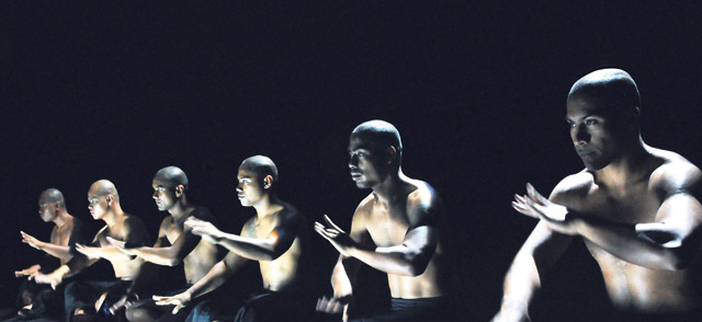 Birds with Skymirrors.