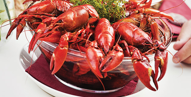 Rapujuhlat ravintolassa.