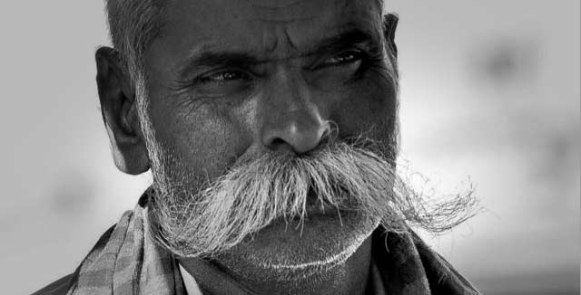 Nämä tuskin kasvoivat yhdessä kuukaudessa.