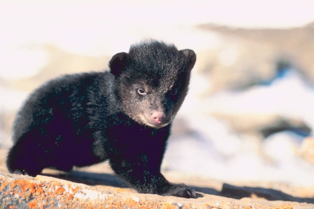 Ethän haastaisi minua oikeuteen, ethän?