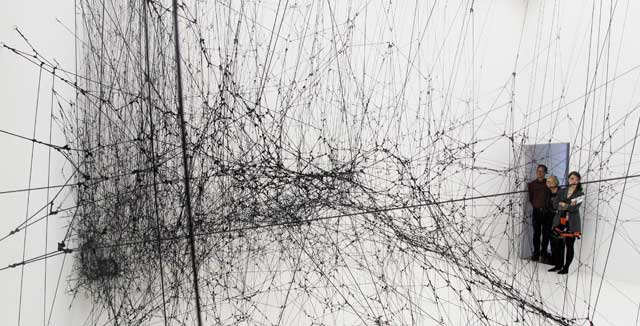 Treffit hämähäkin verkkoon.