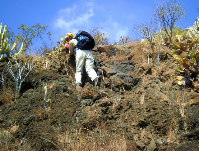 Rouva marssilla, joka kiven päällä kaktuspiikkejä