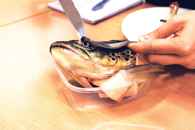 Kalansilmän irrottaminen on haastavaa.