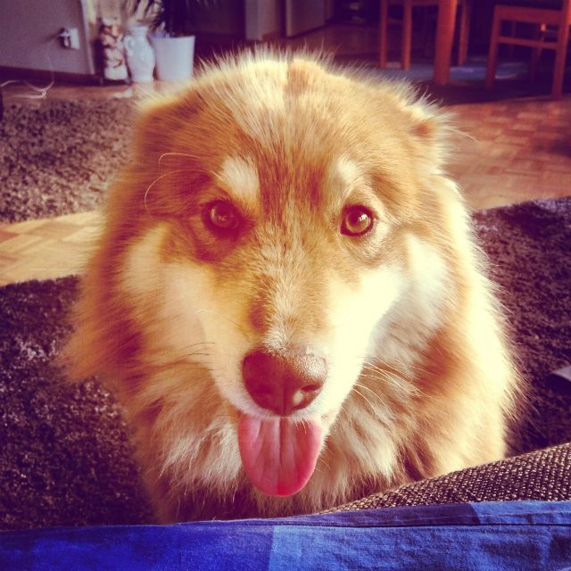 Urpon mielestä oli tosi kivaa, että olin kylässä. Joka aamu ja joka hetki. "Kun silmäni mä auki saan ja sinut siinä nään mä ihan lähelläin..."