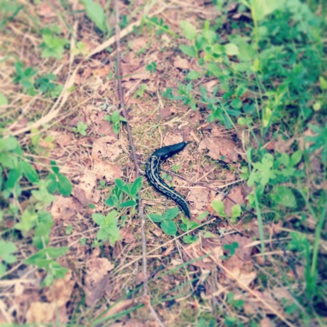 Paikalliset olivat hieman outoja.