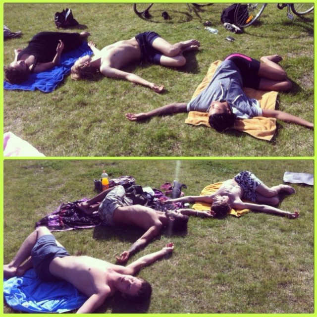 darrajoogailijoita vai nurmelle sammuneita? Kuva Darrajoogan vetäjän Inkan ottama.