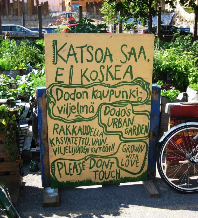 Teurastamolta löytyy myös Dodon kaupunkiviljelmä. Katsoa sai, vaan ei maistella.