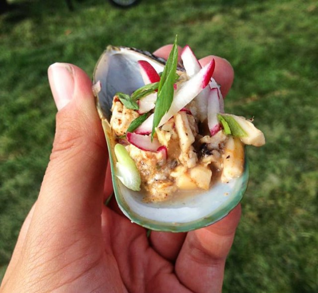 New York Ninjan makupaloja keskiviikolta.