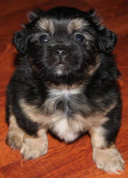 Uteliaana oppimaan uutta elämästä