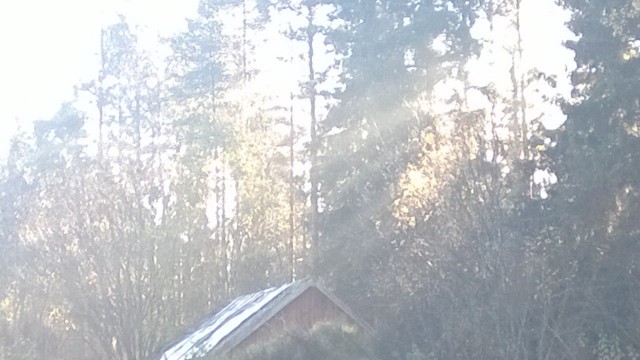 "Auringossa aina, varjo seuraa kulkijaa. Kun päivä painuu pilveen, niin varjo katoaa. Maailmassa monta on ihmeellistä asiaa, ne hämmästyttää, kummastuttaa pientä kulkijaa."