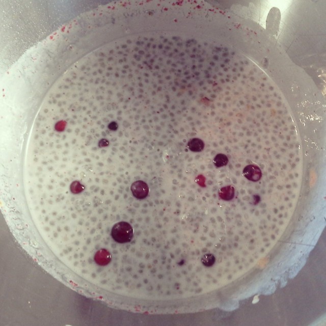 Sammakonkutua? Ei vaan chiaa!