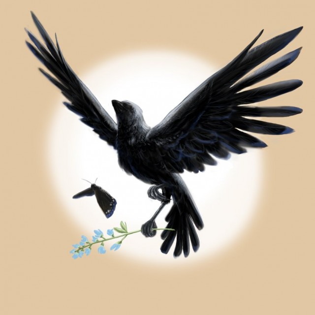 Just like the crow chasing a butterfly.