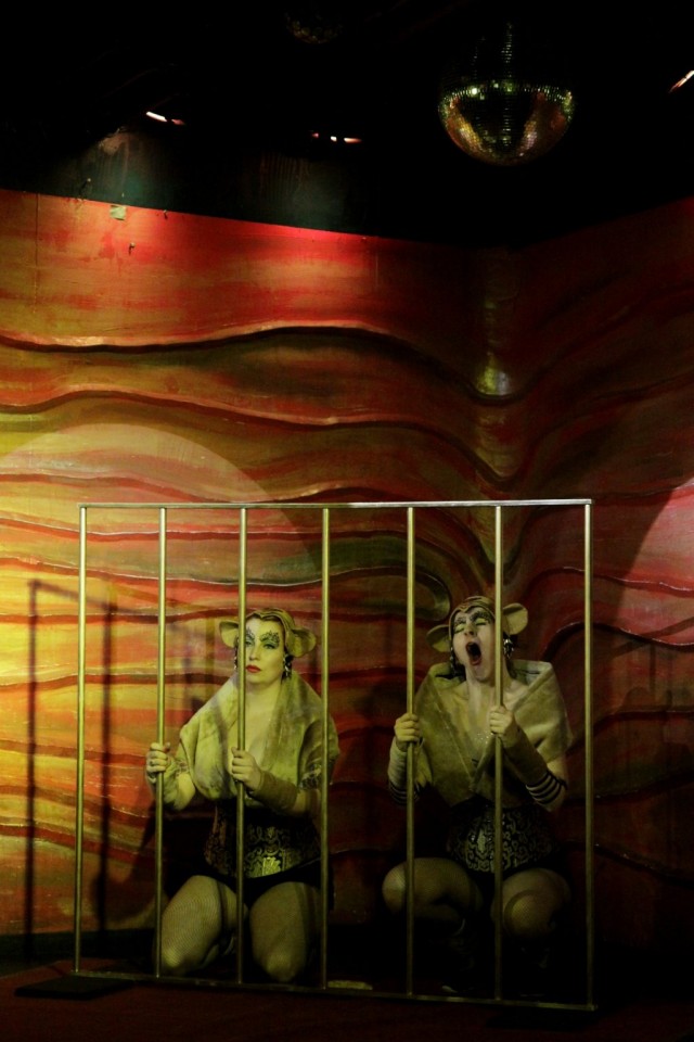 The Flaming Fruitcakes