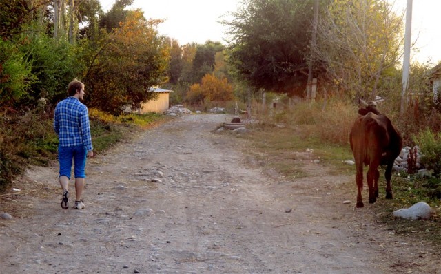 Näitä tuli vastaan vähän väliä.