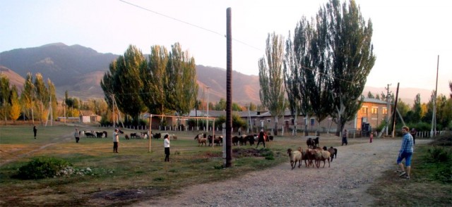 Löytyi kylästä jopa futiskenttäkin, jota tosin käytettiin johonkin aivan muuhun.