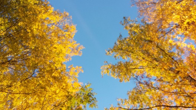 Suomi on kaunis maa, tällaisen väriloiston keskeltä on tylsä lähteä. Upea seikkailu Burmassa odottaa ja se myös jännittää.