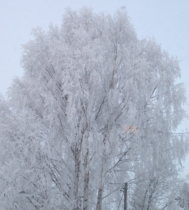 "Maailma on kaunis ja hyvä elää sille, jolla on aikaa ja tilaa unelmille ja mielen vapaus ja mielen vapaus."