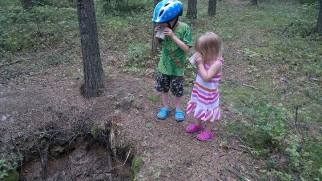 "Maailmassa monta on ihmeellistä asiaa, ne hämmästyttää kummastuttaa pientä kulkijaa."