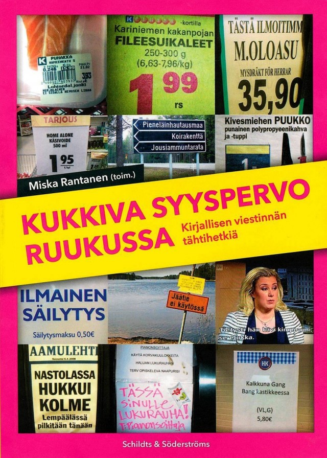 Kukkiva syyspervo ruukussa.