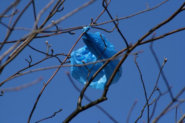 Vapaus verkon raikkaassa tuulessa