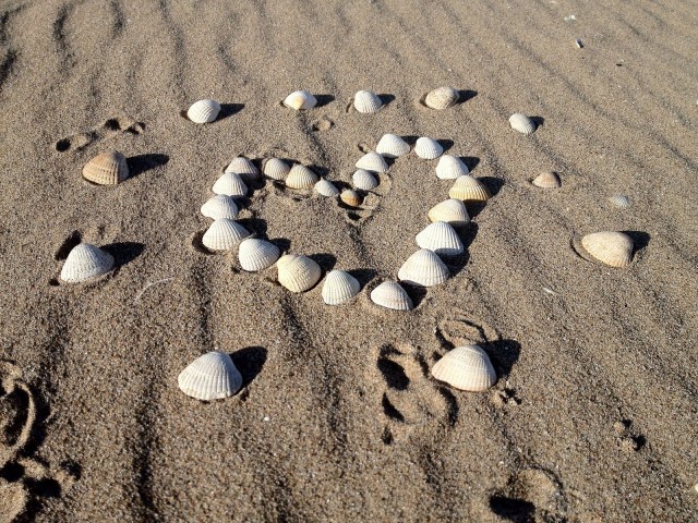 Mikä on tärkeää? Kuva: (CC) Flickr /  nina_pic