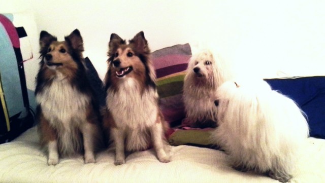 Ystävänpäivädeitit ♥♥♡♡