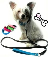 Pauli-mallisto. Suomalaista käsityötä.