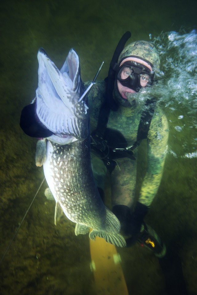 Näin herrasmies pyytää kalan (Kuva: Team Kampela)