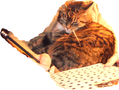 mietintämyssy päällä - se yks kirj ...