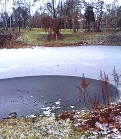 Metsä- tai puistokylvyssä voi ihastella vaikka jäätynyttä lampea