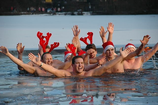 commons.wikimedia.com