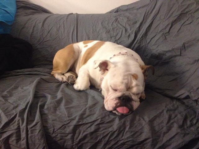 Timo Otamo otti assaristakin "MakingOff"- kuvan