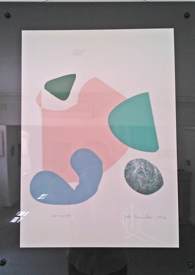 the painting of my friend Joao Camacho