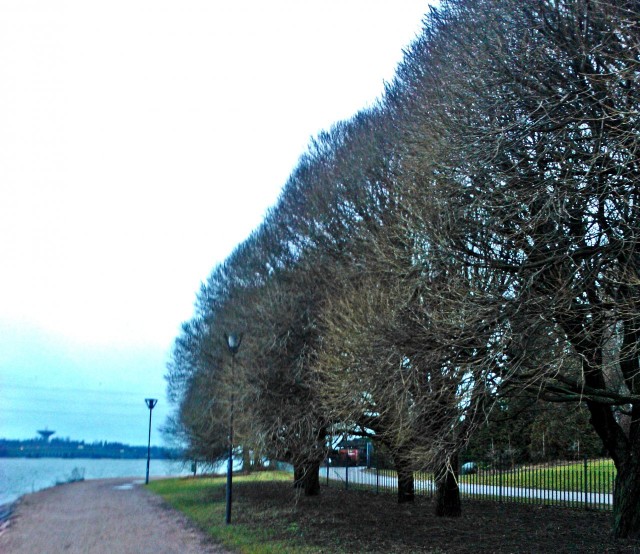 meren rannalla kävellessä voi kokea hiljaisuutta