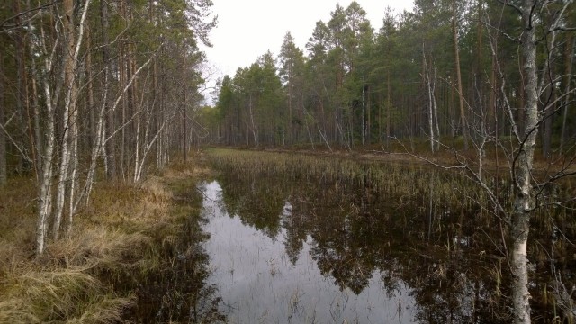 Rakkaus, tuo eheyttävä voima.