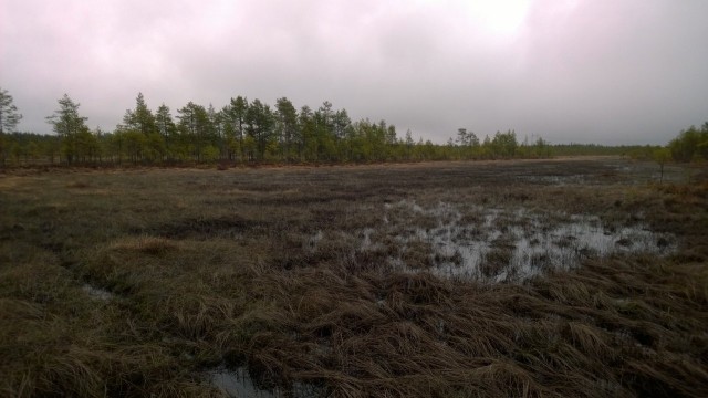 Turvattomuus tuo tunteen kuin olisi astumassa suolle, jossa ei tiedä kantaako se vai ei.