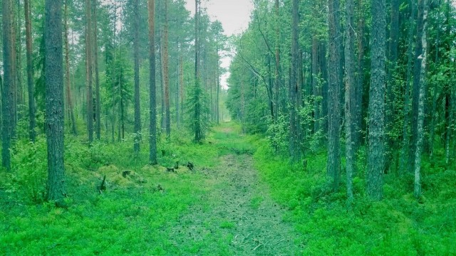 Luottamuksen rakentuminen on prosessi, jossa henkinen tuska raivaa tietä tervehdyttävälle nöyryydelle.