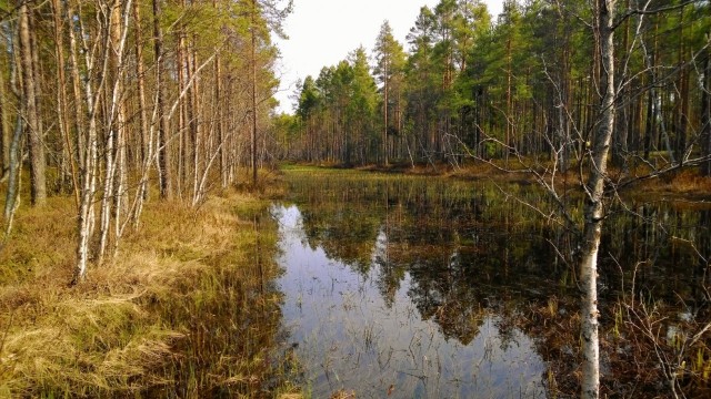 Luottaessani elämään, kaikki on helpompaa.