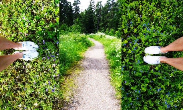 Cityjuhannusta viettäville niityksi laskettakoon myös kotipiha ja lähimetsä?